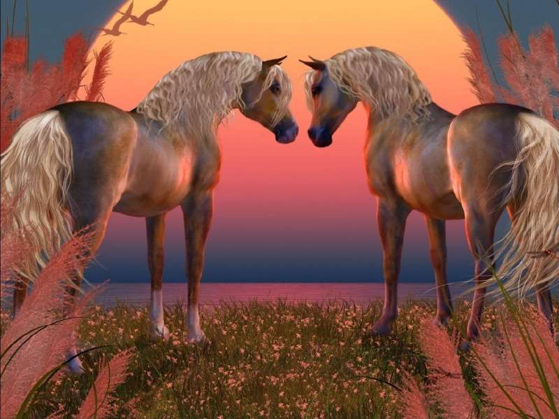In the light of the setting sun, horses in love jigsaw puzzle online