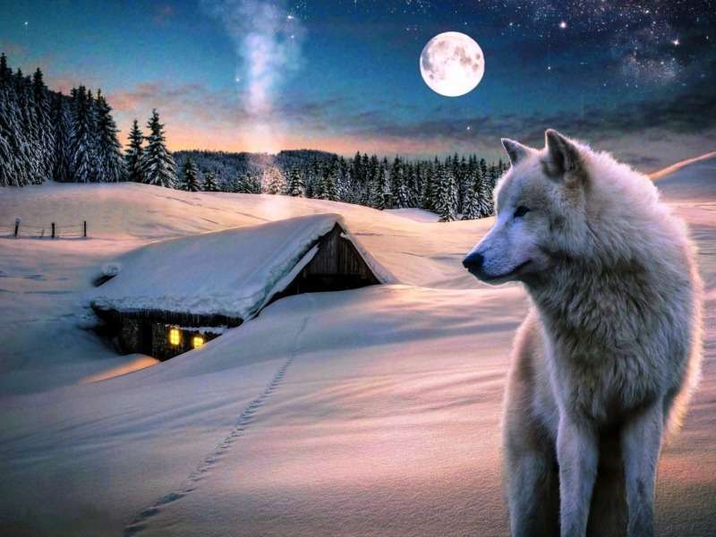 Una choza solitaria, un lobo solitario, invierno y luna llena. rompecabezas en línea