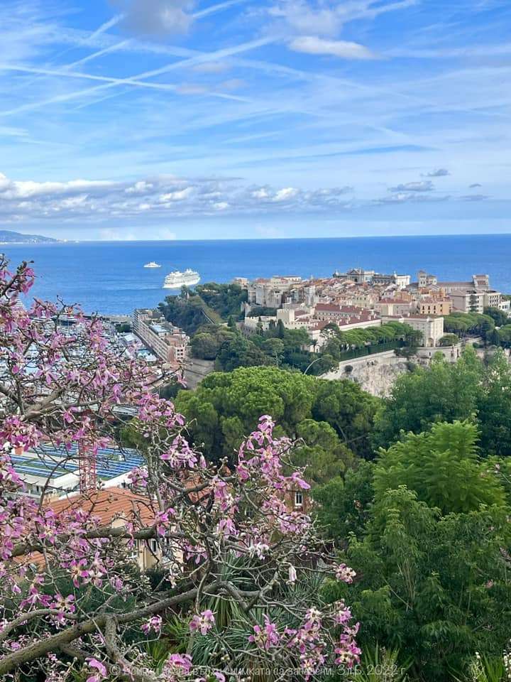 panorama vanuit Monaco legpuzzel online