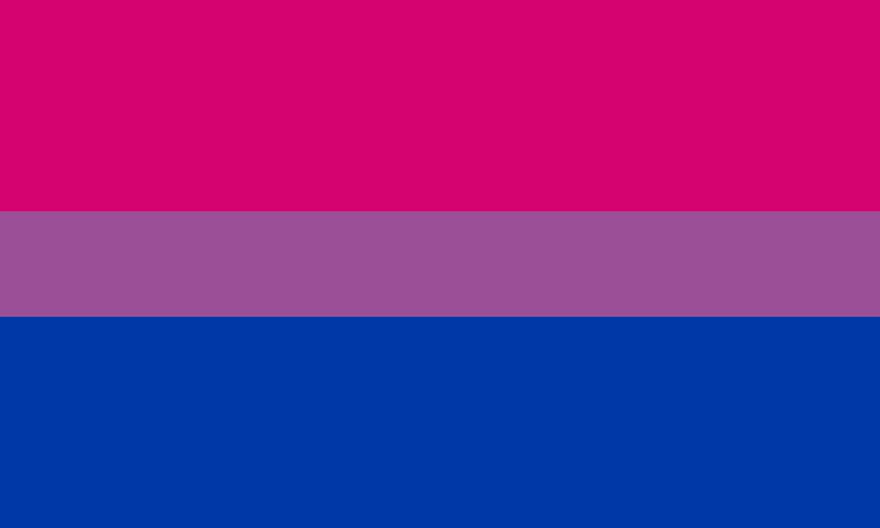 Biszexuális zászló kirakós online