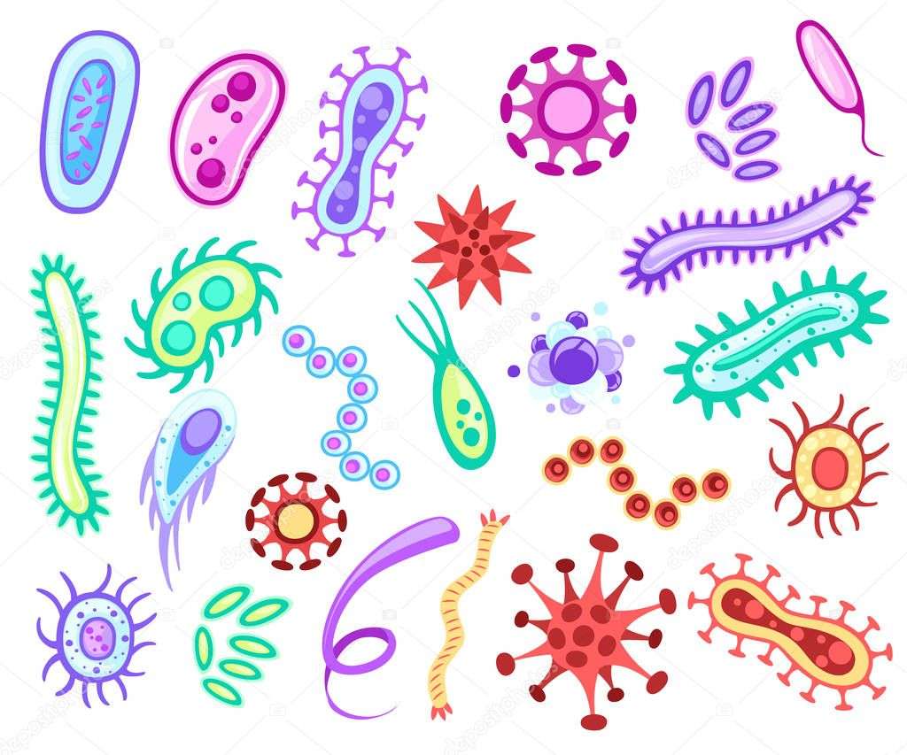 Mikrobiologie skládačky online