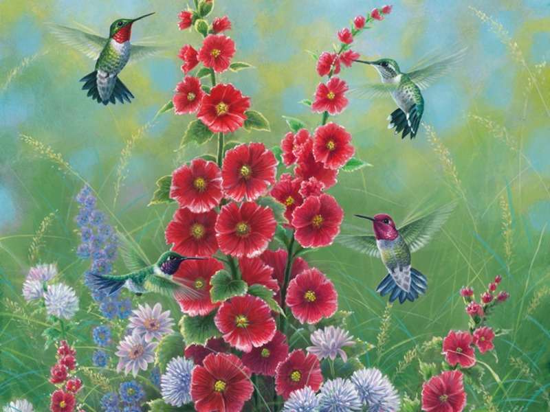 Naturens underverk - vackra blommor, vackra kolibrier pussel på nätet