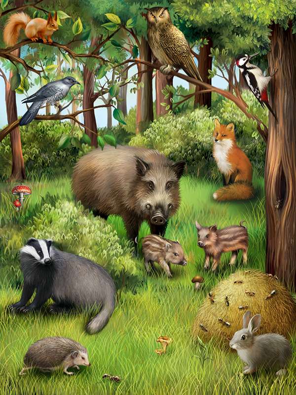 Lesní zvířata online puzzle