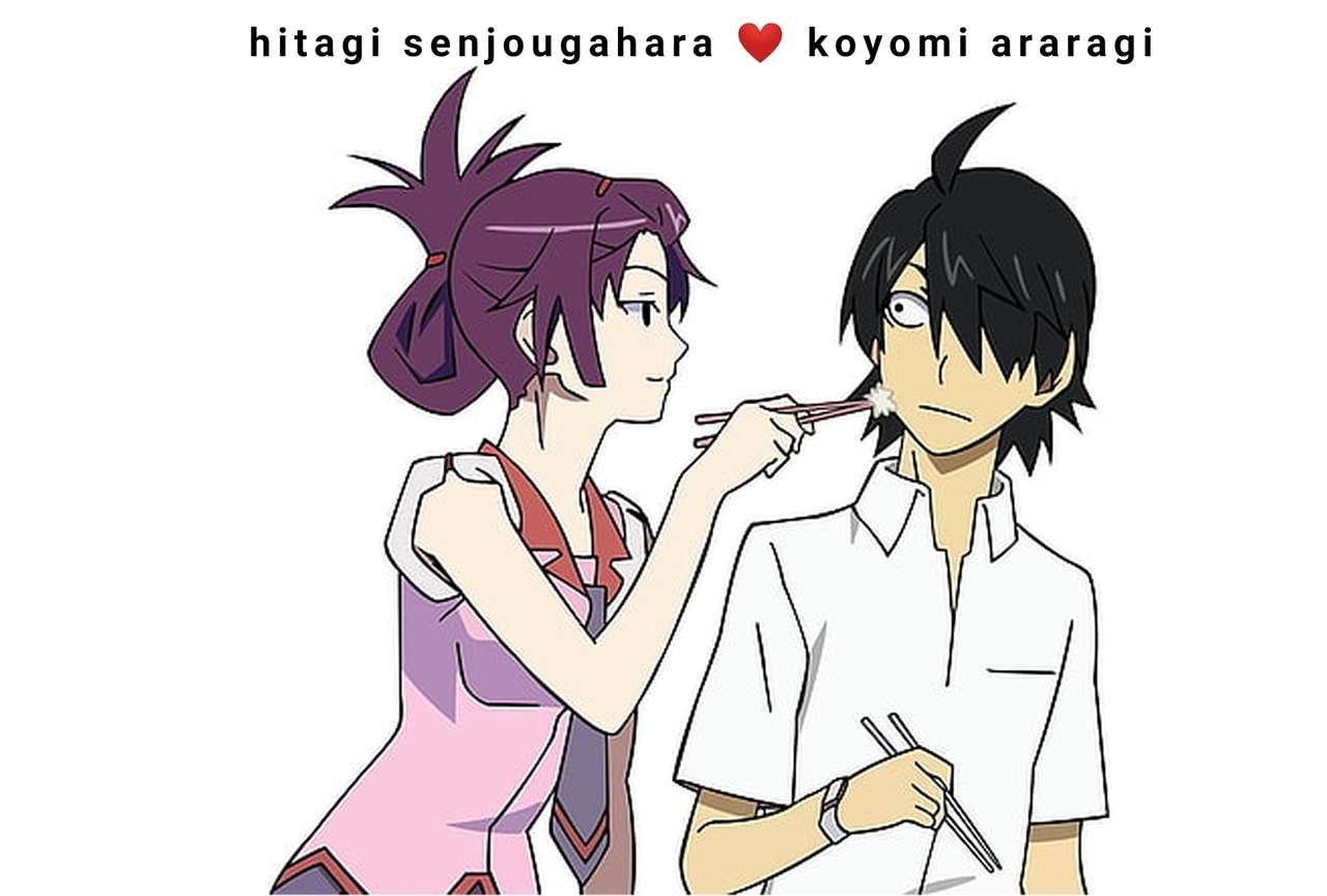 hitagi senjougahara och koyomi araragi pussel på nätet