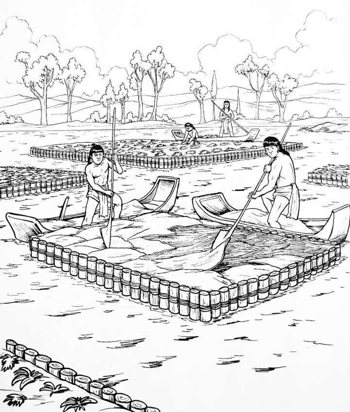 the chinampas online puzzle