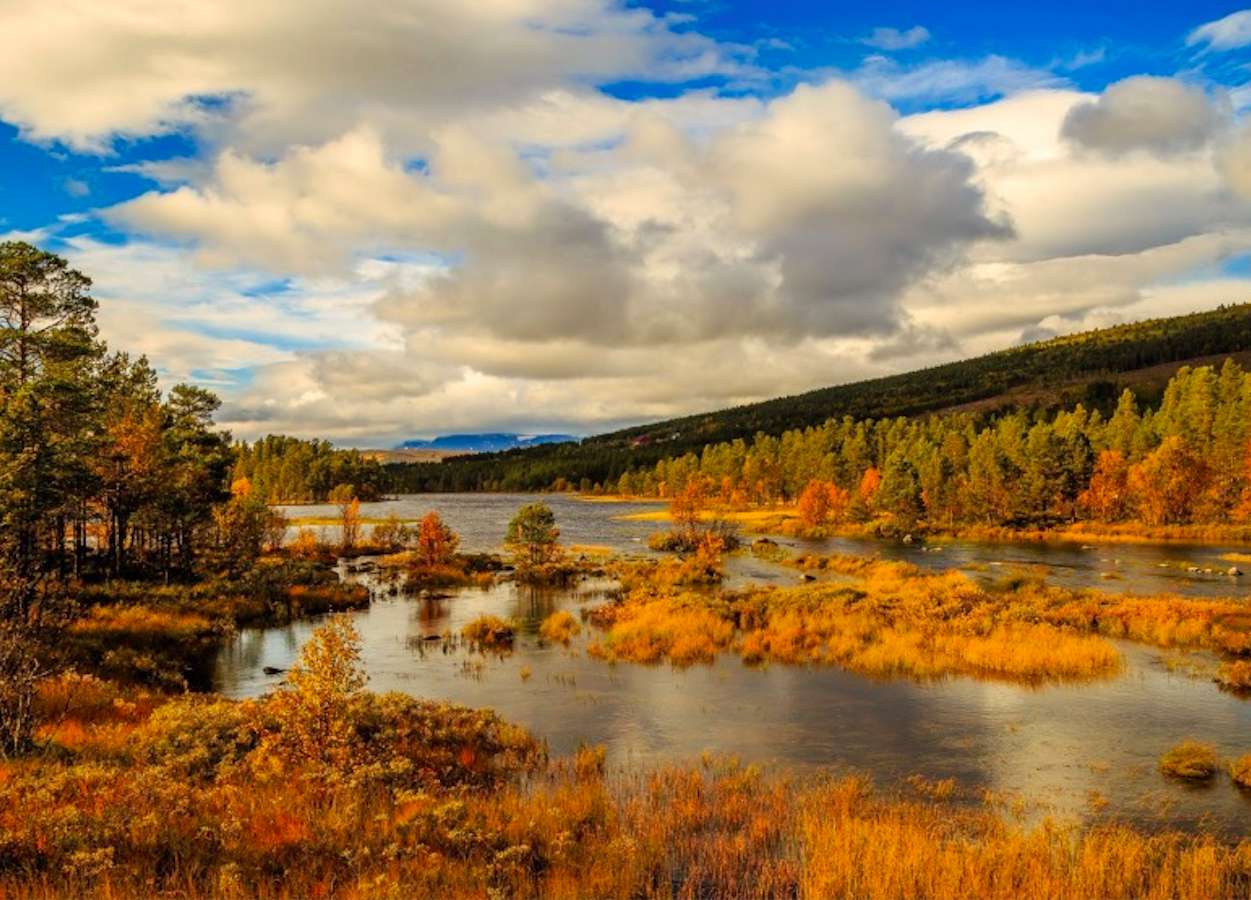 Cores de outono no rio norueguês, a vista é incrível quebra-cabeças online