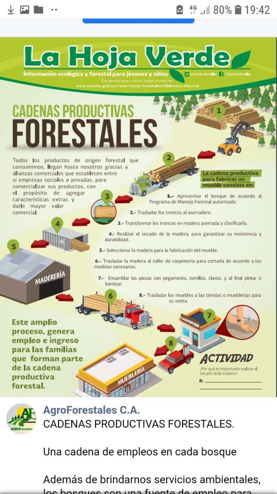 Exploração Florestal quebra-cabeças online