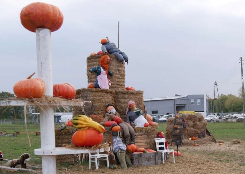 Pumpkin Farm in Obórznia online puzzle