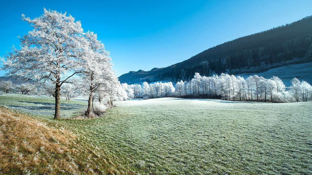 Frost Frost Snow Montañas Prado rompecabezas en línea