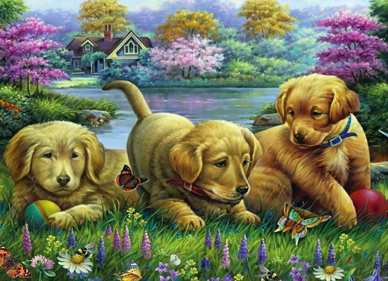 Simpatici cuccioli su un prato soleggiato puzzle online
