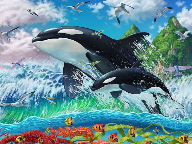Springende Orcas- Springende Orcas :) Online-Puzzle