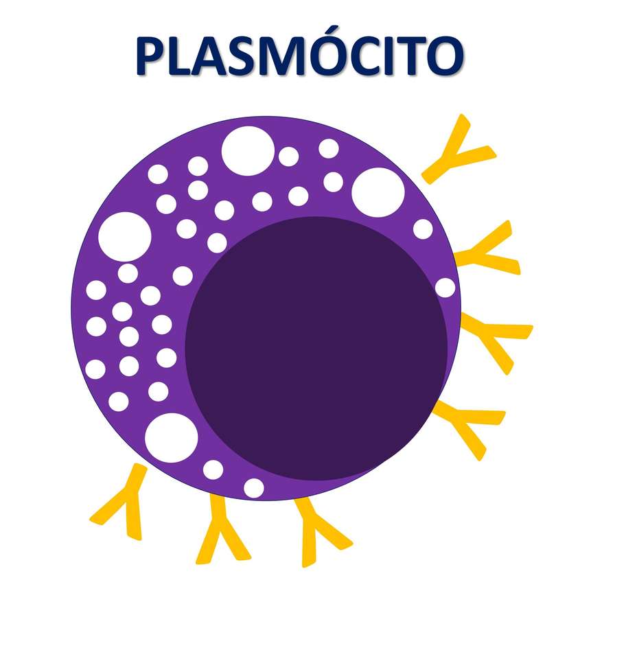 PLASMOCITOOO Online-Puzzle