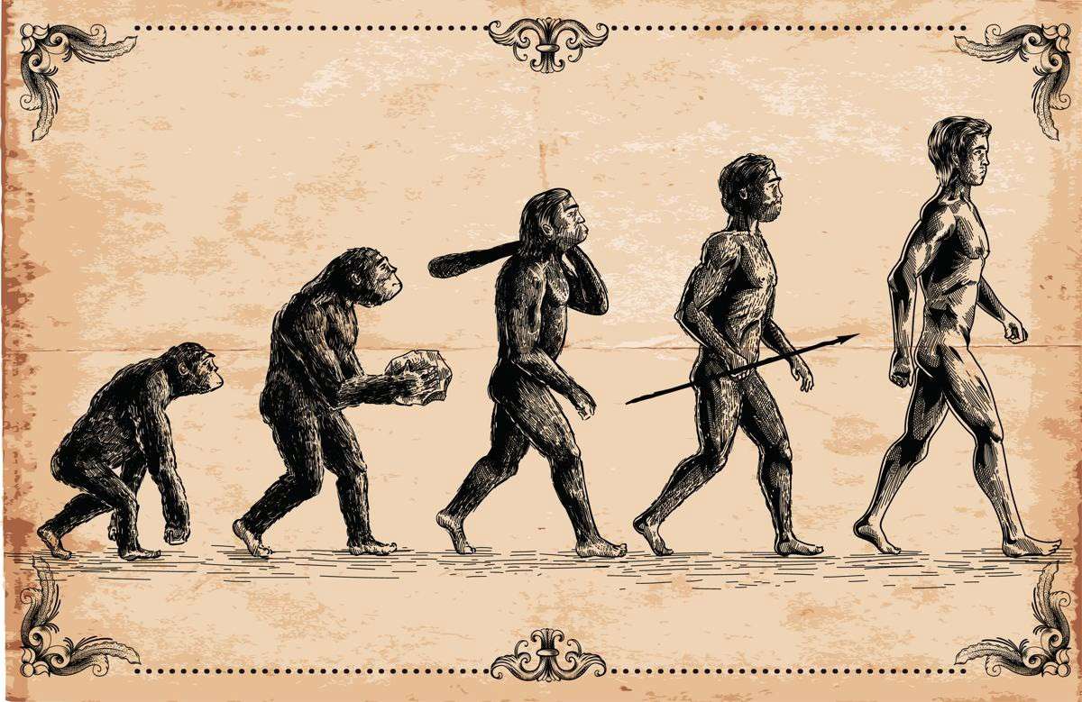 Evolution Pussel online