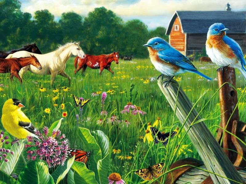 Landleben auf der Wiese im Sommer - ein Wunder :) Puzzlespiel online