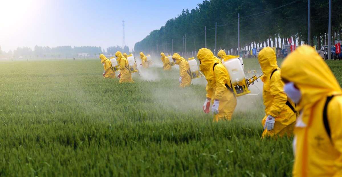 Пестициди пазл онлайн