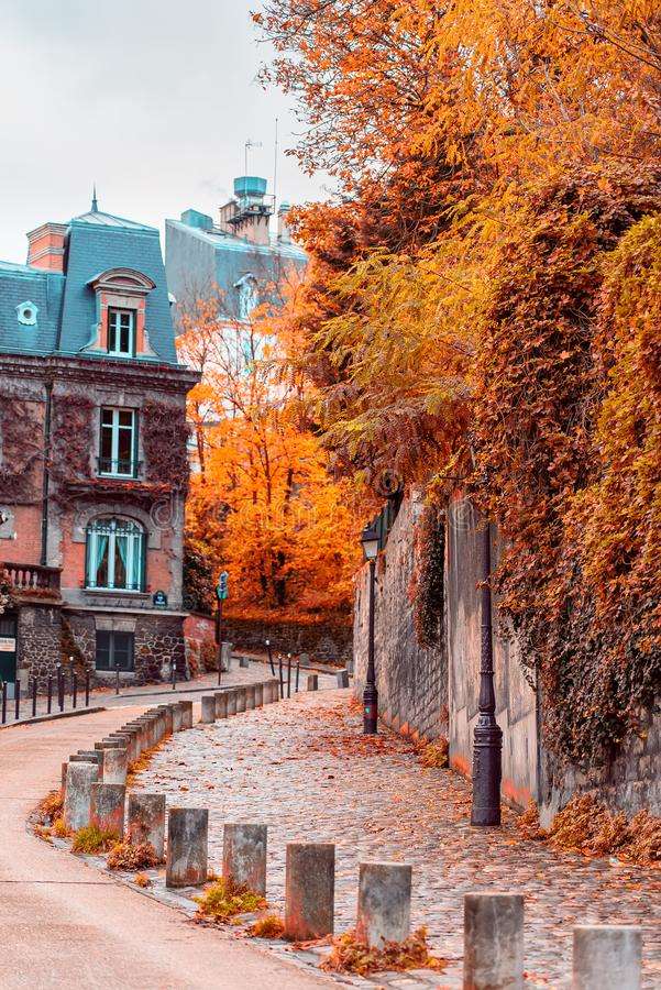 Calle de París en otoño rompecabezas en línea