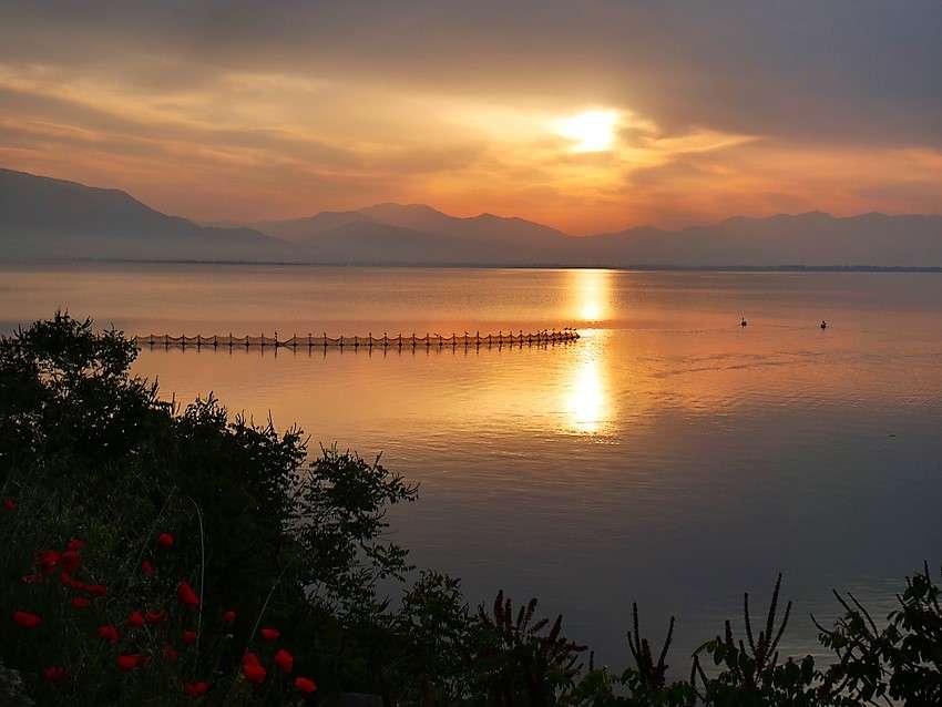Parque Nacional do Lago Kerkini Grécia quebra-cabeças online