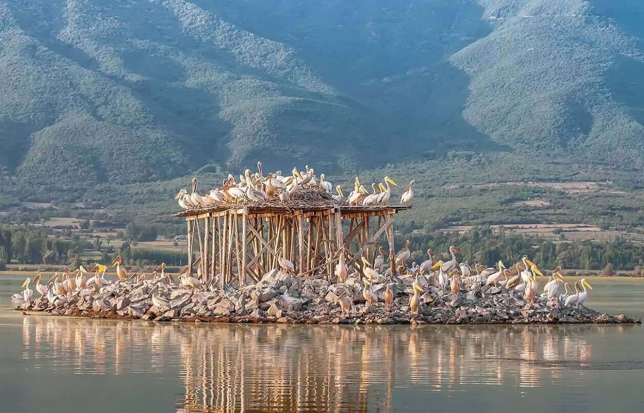 ギリシャ ケルキーニ湖国立公園 ジグソーパズルオンライン