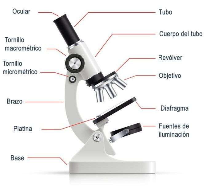 micro-casse-tête puzzle en ligne