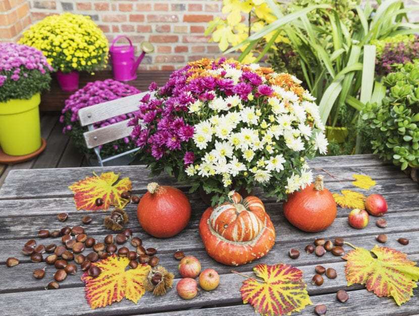 Есенна градина онлайн пъзел