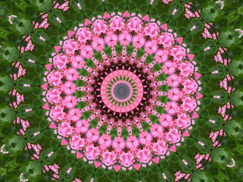 Mandala de flores cor de rosa - Mandala de flores cor de rosa quebra-cabeças online