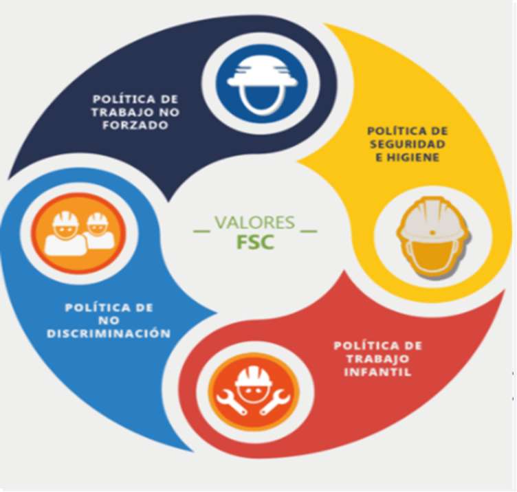 hodnoty FSC online puzzle