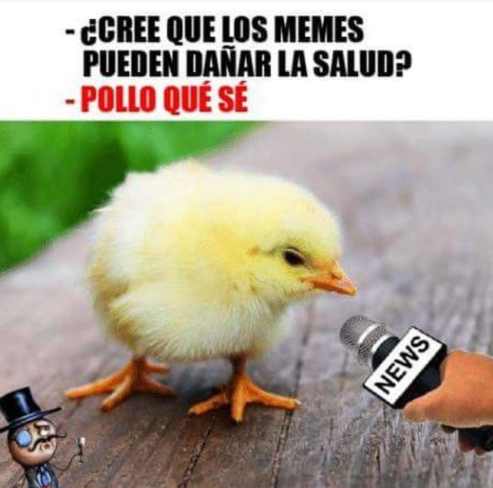 El pollo rompecabezas en línea