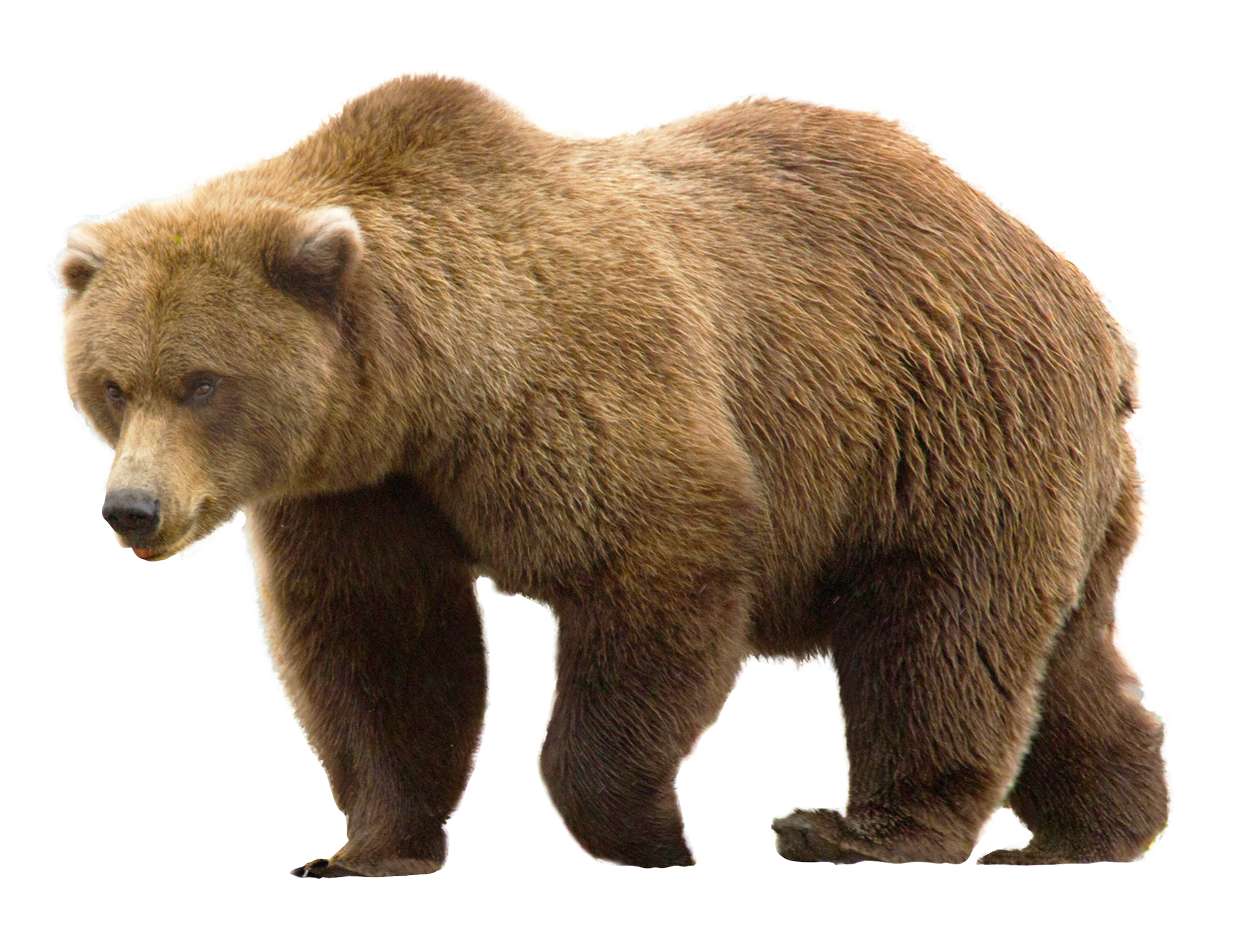 GRIZZLY puzzle online