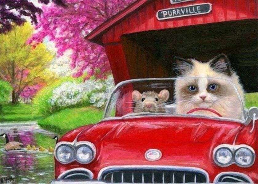 Котенок уезжает на своей машине №259 онлайн-пазл