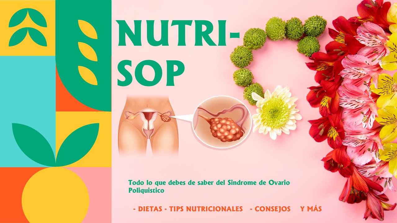 nutrisop Pussel online