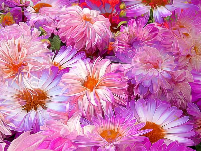 Květiny-Květiny a jejich krása online puzzle