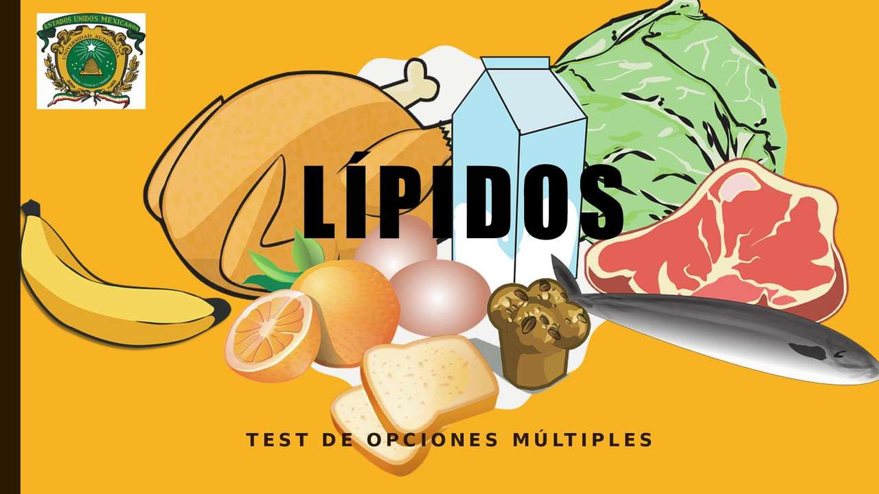 i lipidi puzzle online