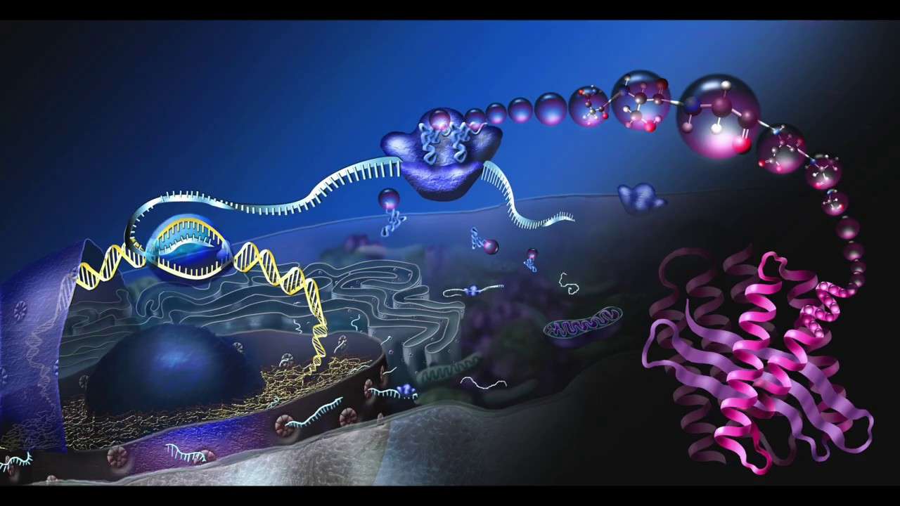 Molekylärbiologi pussel på nätet