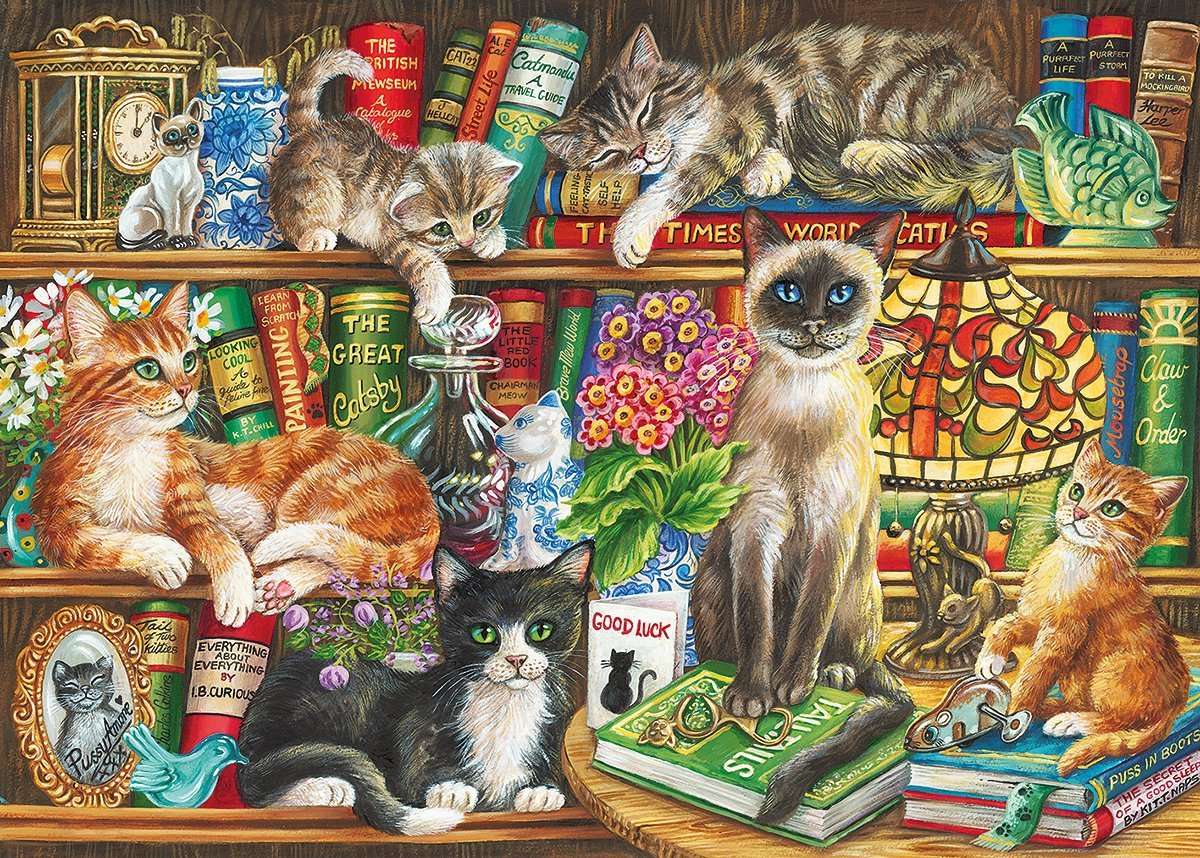 pisici în bibliotecă jigsaw puzzle online