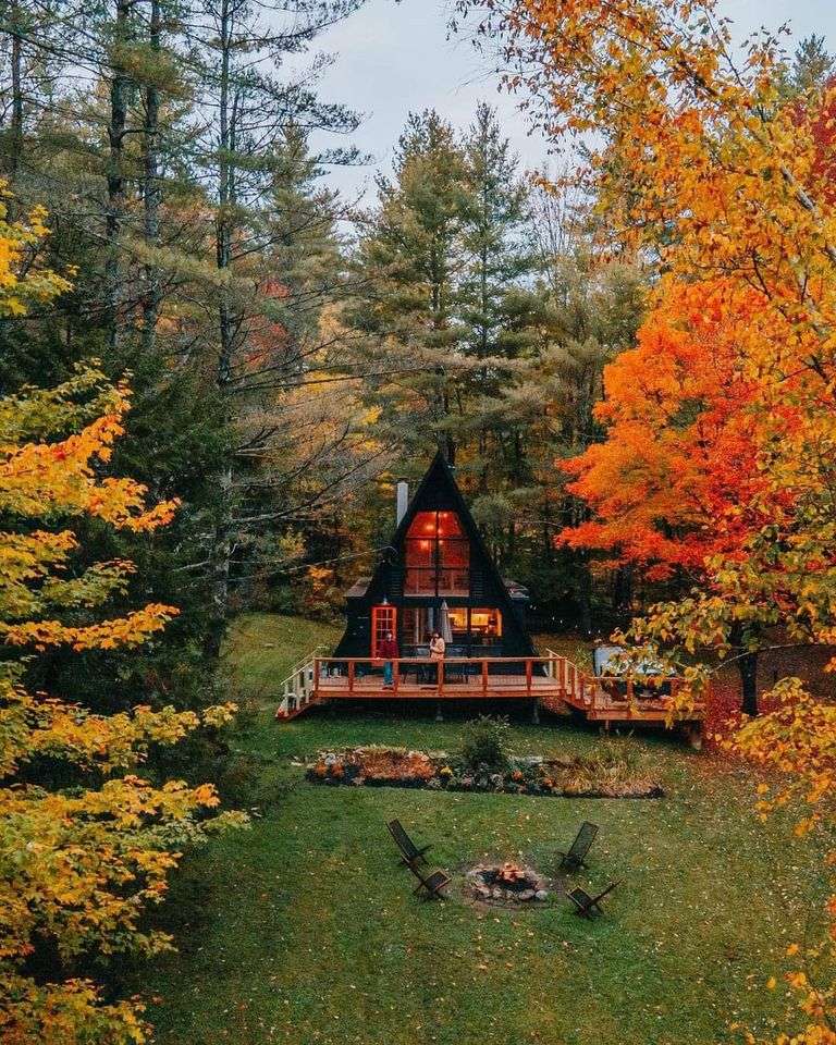 foresta in autunno puzzle online