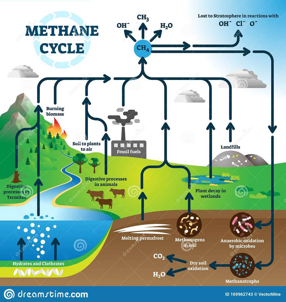 ciclo del metano puzzle online