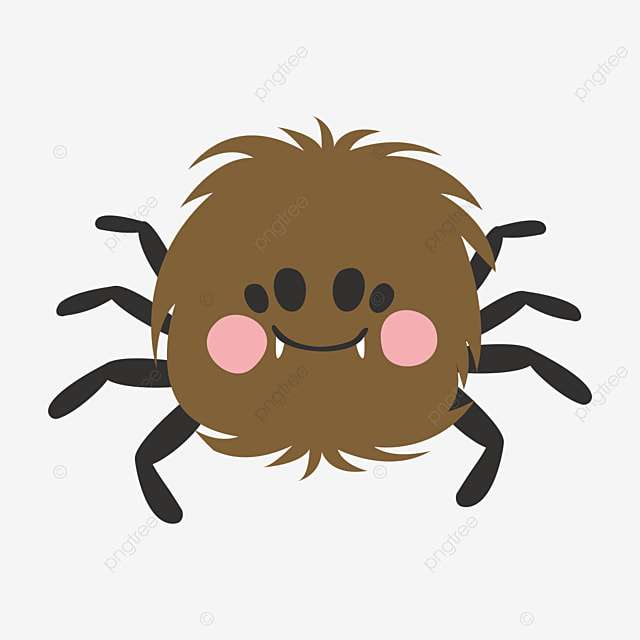 pavouci skládačky online