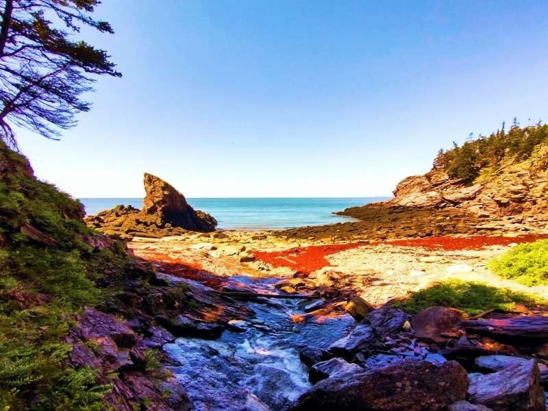 A Shark Rock Beach Saint John mellett, egy gyönyörű hely kirakós online