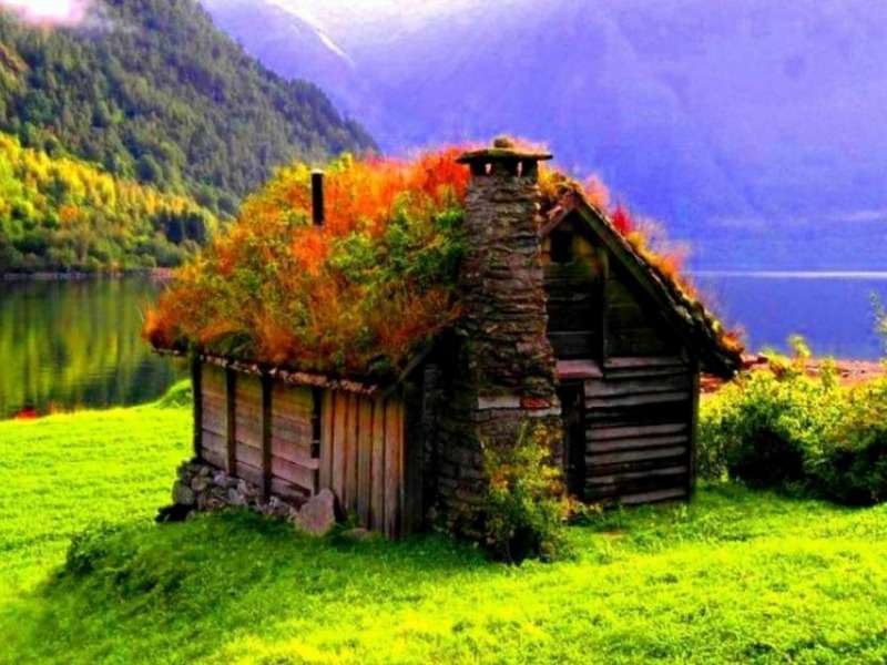 Husets tak är täckt med gräs på en vacker äng, ett mirakel Pussel online