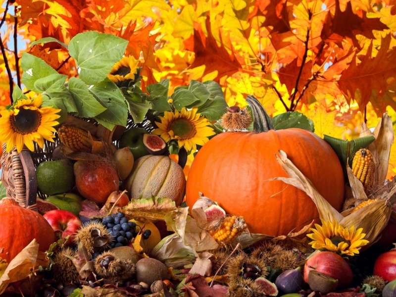 Aranytól csillogó őszi termés, csoda kirakós online