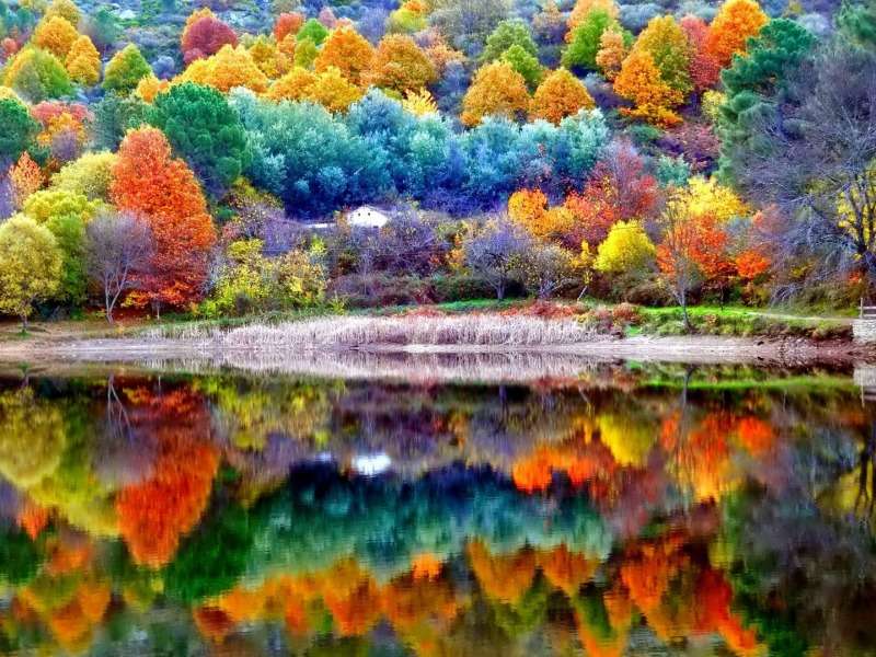 Осенние пейзажи - Осенние пейзажи, что-нибудь красивое пазл онлайн
