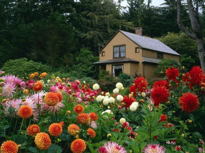 Egy ház a virágtenger között, milyen szép online puzzle