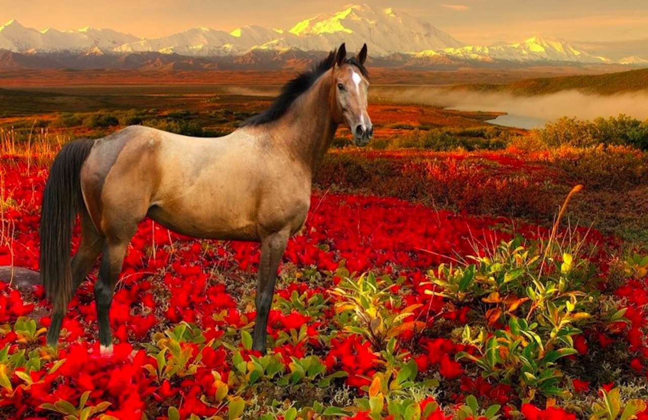 En underbar häst i vildmarken, bland blommor :) pussel på nätet
