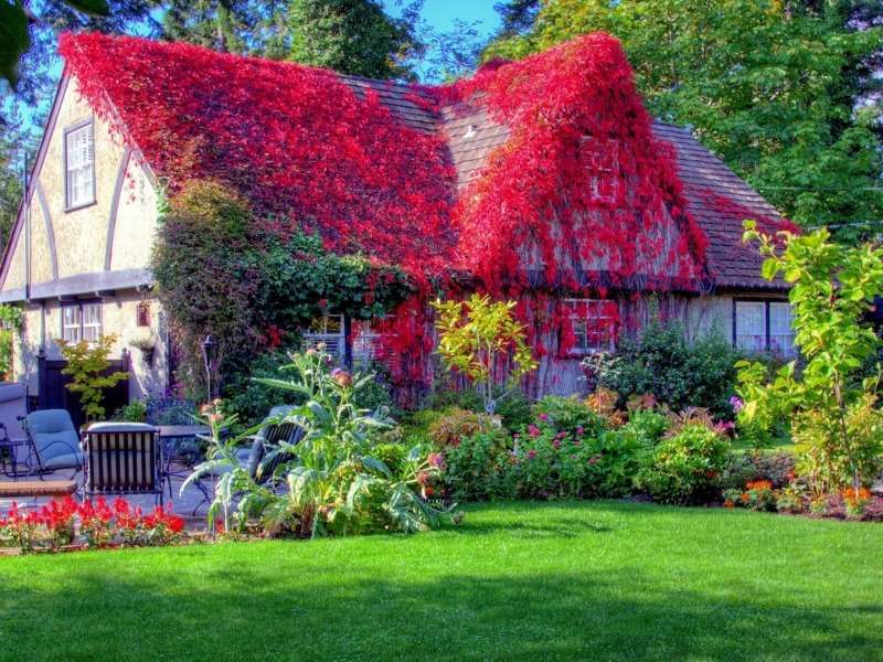 Frumusețea grădinii de vară :) jigsaw puzzle online