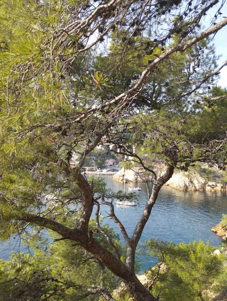 Calanque de Mejan quebra-cabeças online