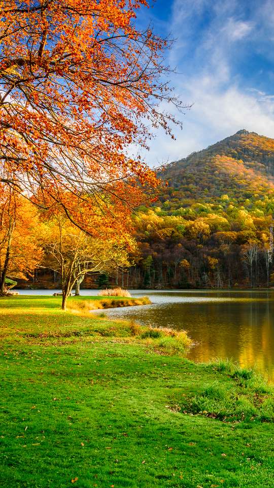Осенний речной пейзаж пазл онлайн