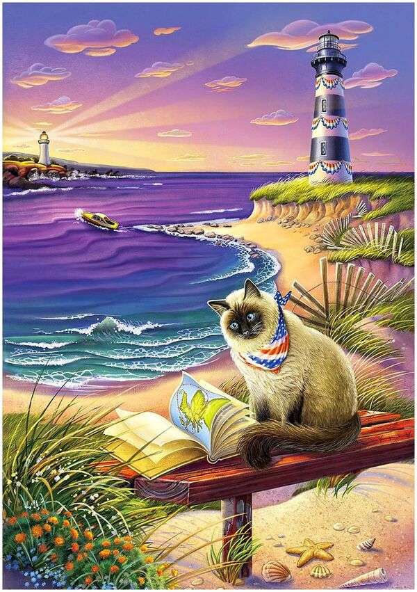 Kitten lezen op het strand #266 online puzzel
