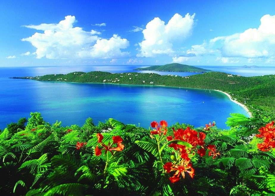 Изглед към острова с плажа онлайн пъзел