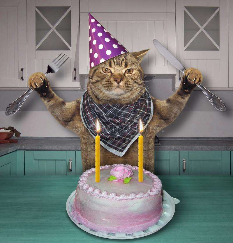 Pastel y cumpleaños de gatito rompecabezas en línea