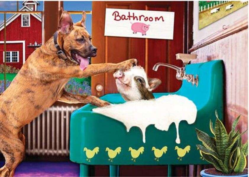 Puppy giving pig a bath #252 jigsaw puzzle online